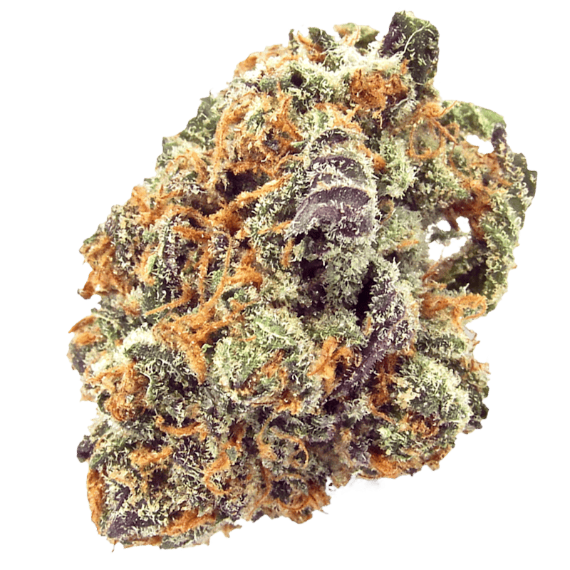 Orange Bud CBD